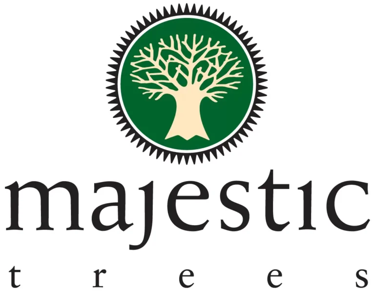 majestic-trees
