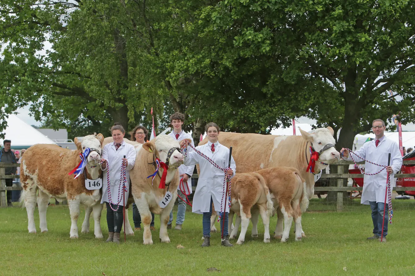 A Wonderful Year and Exciting Times Ahead | Hertfordshire County Show